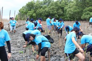 ป่าชายเลน